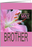 BrotherHappy May Birthday Tigerlily May Birth Month Flower card