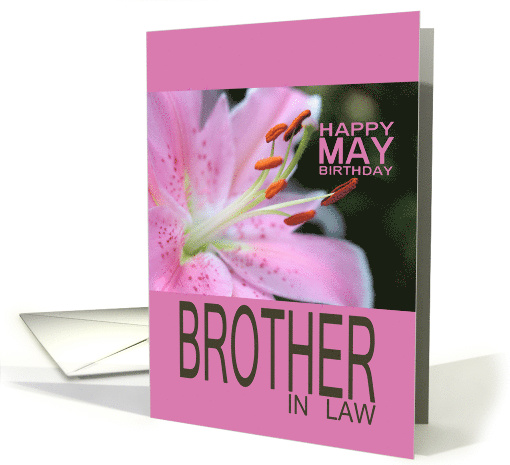 Brother in LawHappy May Birthday Tigerlily May Birth... (767651)