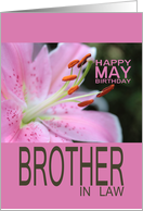 Brother in LawHappy May Birthday Tigerlily May Birth Month Flower card