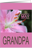 Grandpa Happy May Birthday Tigerlily May Birth Month Flower card