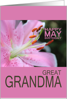 Great Grandma Happy May Birthday Tigerlily May Birth Month Flower card