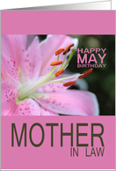 Mother in Law Happy May Birthday Tigerlily May Birth Month Flower card