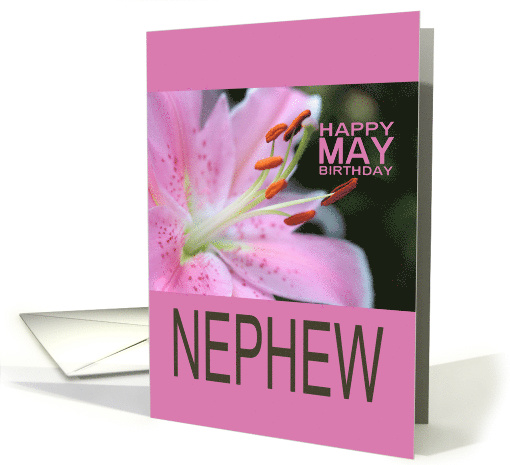 Nephew Happy May Birthday Tigerlily May Birth Month Flower card