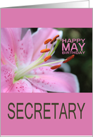 Secretary Happy May Birthday Tigerlily May Birth Month Flower card