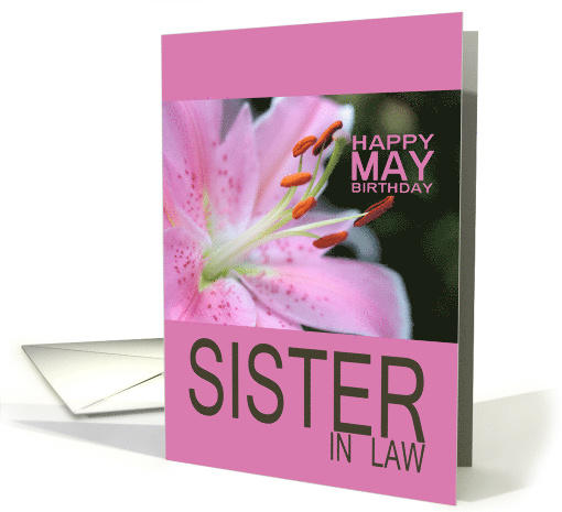 Sister in Law Happy May Birthday Tigerlily May Birth Month Flower card