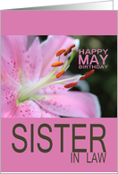 Sister in Law Happy May Birthday Tigerlily May Birth Month Flower card