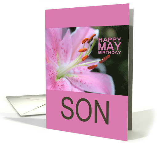 Son Happy May Birthday Tigerlily May Birth Month Flower card (768977)