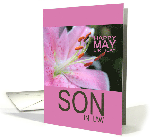 Son in Law Happy May Birthday Tigerlily May Birth Month Flower card