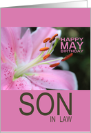 Son in Law Happy May Birthday Tigerlily May Birth Month Flower card