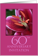 60th Wedding Anniversary Invitation Card - Pink Lily card