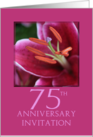 75th Wedding Anniversary Invitation Card - Pink Lily card