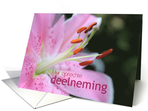 Dutch Pink Lily Sympathy card (778128)