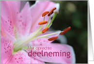 Dutch Pink Lily Sympathy card