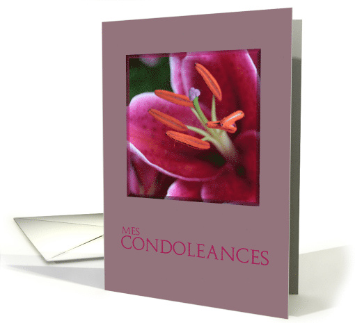 French Sympathy Pink Tiger Lily card (778156)