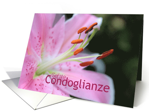 Italian Sympathy Pink Lily card (778169)