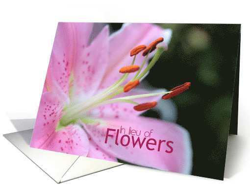 In Lieu of Flowers Pink Lily Sympathy card (778193)