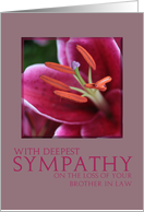 Sympathy on Loss of Brother in Law Pink Lily card