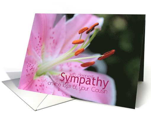 Cousin Pink Lily Sympathy card (778266)