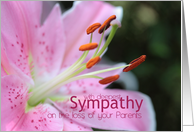Parents Pink Lily Sympathy card