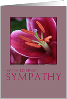 Pink Lily Sympathy card