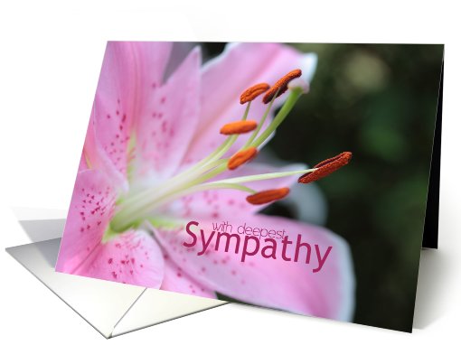 Pink Lily Sympathy card (778776)