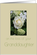 granddaughter White rose Sympathy card