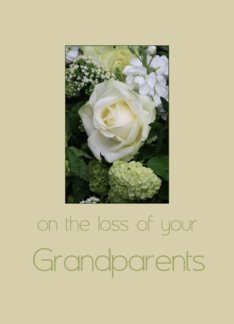 grandparents White rose Sympathy card
