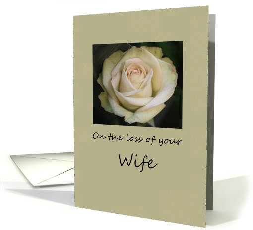wife White rose Sympathy card (779961)