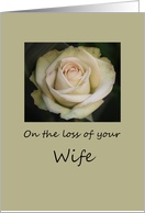 wife White rose Sympathy card