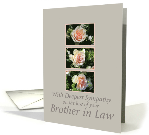 Sympathy on Loss of Brother in Law Pink Roses card (779969)