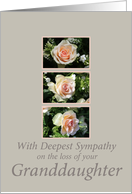 granddaughter three pink roses Sympathy card