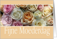 Dutch Happy Mother’s Day Pastel Roses card