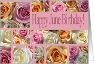 Happy June Birthday Pastel Roses June Birth Month Flower card