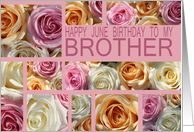 Brother Happy June Birthday Pastel Roses Rose June Birth Month Flower card