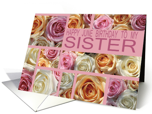 Sister Happy June Birthday Pastel Roses June Birth Month Flower card
