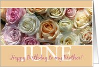 Brother Happy June Birthday Pastel Roses June Birth Month Flower card