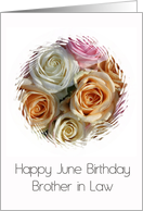 Brother in Law Happy June Birthday Pastel Roses Birth Month Flower card