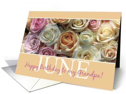 Grandpa Happy June Birthday Pastel Roses June Birth Month Flower card