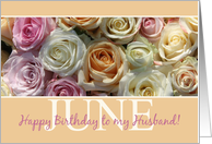 Husband Happy June Birthday Pastel Roses June Birth Month Flower card