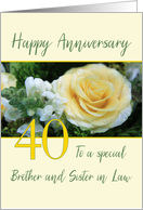 Year Specific Wedding Anniversary Cards For Brother Sister In