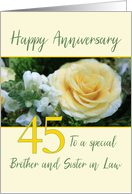 Brother and Sister in Law 45th Wedding Anniversary Yellow Rose card