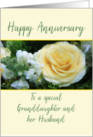 Granddaughter & Husband Wedding Anniversary Yellow Rose card
