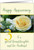 Granddaughter & Husband 3rd Wedding Anniversary Yellow Rose card