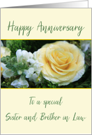 Sister and Brother in Law Wedding Anniversary Yellow Rose card