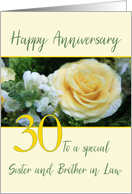 Sister and Brother in Law 30th Wedding Anniversary Yellow Rose card