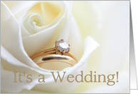Wedding Invitation - Bridal set in white rose card