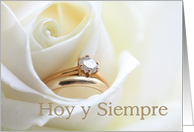 Hoy y siempre, Spanish Congratulations on wedding day - Bridal set in white rose card