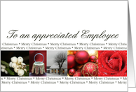 Employee Merry...
