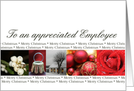 Employee Merry Christmas red, black & white Winter collage christmas card