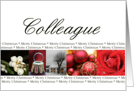 Colleague Merry Christmas red, black & white Winter collage christmas card